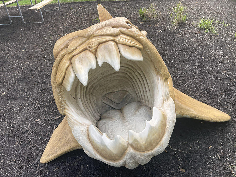 ODNR Dunkleosteous